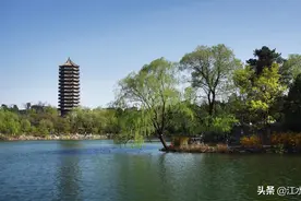 2020年四川各地高考文理科 最高分统计，希望学有所成，回报社会图片