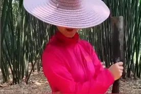 王媛媛变身“大侠”？贵州台主播“不正经”的画风喜欢了图片