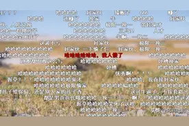 B站开分9.8，弹幕炸裂，又哭又笑太上头了图片