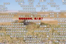 B站开分9.8，弹幕炸裂，又哭又笑太上头了图片
