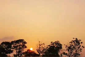 表白一定要当面图片