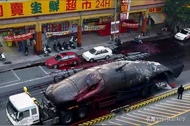 鲸爆威力有多大？台湾闹市50吨鲸鱼突然爆炸，路人内心十分崩溃图片