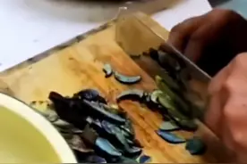 云南狗狗误食野生菌中毒后，从客厅舔到餐厅，然后一直在空咬骨头图片