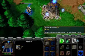 魔兽争霸3：人族商店特殊物品机械小动物作用介绍图片