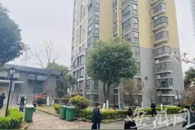 痛心！母子三人清早24楼坠亡，原因查明【三分钟法治新闻全知道】图片