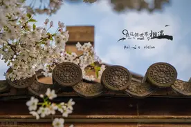 这辈子，我与顺产无缘，如果你有机会选择，请一定要慎重图片