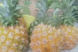挑选菠萝记住这6个技巧，选的菠萝个个肉嫩饱满，香甜多汁图片