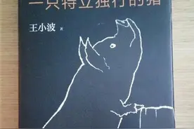 一只特立独行的猪-19图片