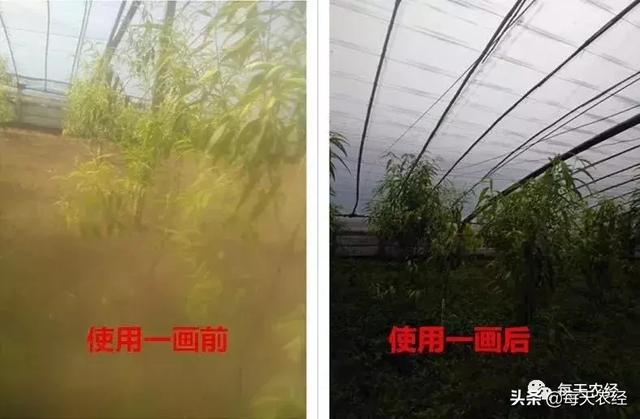 新型一画有机氮肥横空出世，效果吊打传统尿素