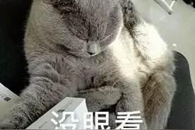 高价“洗剪吹” 8名“托尼老师”被判刑！图片