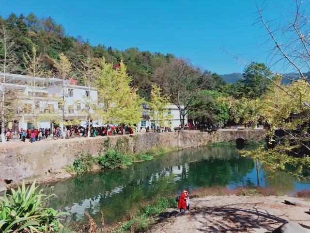 秋风吻尽银杏叶，艳遇醉美帽子峰