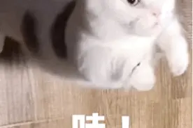 广东、湖北、江苏、广西、云南联考押题来了！附往年真题图片