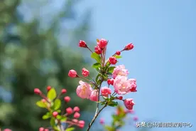 常做一个动作，防治静脉曲张，防血栓图片
