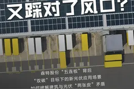 隆基又踩对了风口？图片