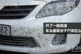 跑完高速，车子上竟然有这么多恶心的虫子，钦州网友遇到过？图片