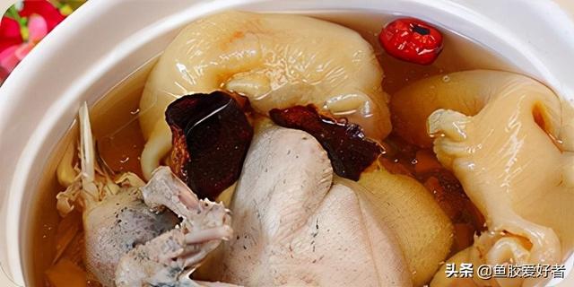 高丽参 花胶 2026年高丽参花胶可以一起炖吗