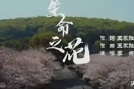 抗疫歌曲《生命之花》发布图片