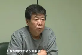 主动投案的官员们，都犯了什么事儿？图片