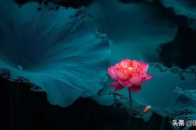 孟子：遇行有不得时，应反求诸己图片