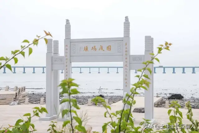当深圳地名遇到生僻字