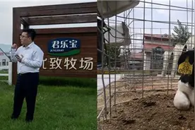 拼多多联手君乐宝打造“透明工厂溯源”，合力振兴国产奶粉图片