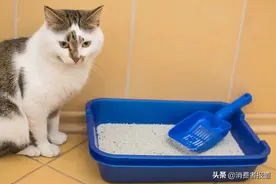 19款猫砂口碑报告：耐威克、洁客评价较高，LORDE里兜的混合猫砂口碑差图片