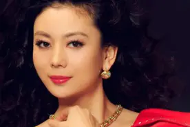 朱军老婆——女企业家谭梅的人生路图片