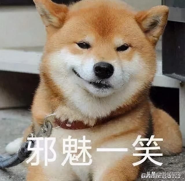《人类跌落梦境》评测：沙雕风骚不减当年