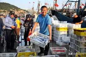 金秋十月，青岛渔港码头喜获丰收，十多块一斤小海鲜看都有啥图片