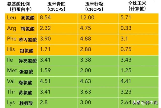 玉米青贮蛋白水平知多少