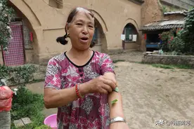 晋南7旬大妈有一棵家传“神草”，防治蚊虫叮咬有奇效，看长啥样图片