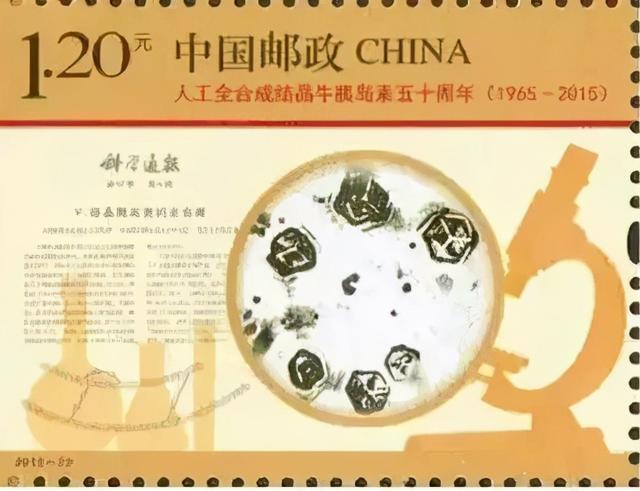 离诺贝尔奖最近的一次科技冲击