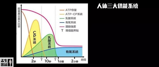 肌酸完全指南——关于肌酸你所需要了解的一切