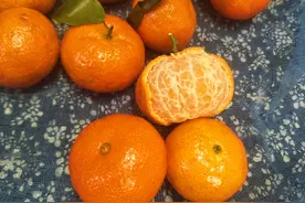 买砂糖桔时，选皮厚的还是薄的？教你3招，选出的桔子又甜又多汁图片