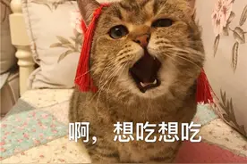 #宅家速食#一些值得囤货的方便美味，美食博主养成中图片