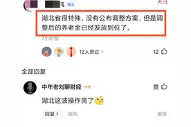 什么情况？湖北养老金调整方案尚未公布，有的人已经补发到账了？图片