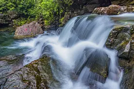 生命中，这四个儿女都是来报恩的，遇到了就是做父母的福气图片