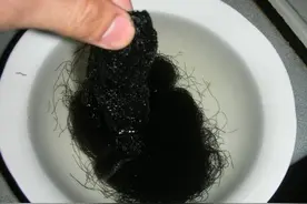 广东人常吃的发菜：其貌不扬，却是一级保护植物图片