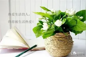 谁的青春不迷茫，其实我们都一样图片