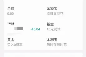 支付宝理财出现负收益图片