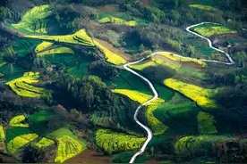 陇南，最不西北的地方图片