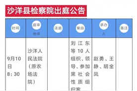刘江东等10人涉黑案本周开庭图片