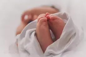 宝宝多大才可以吃蛋黄？答案可能和你想的不一样图片