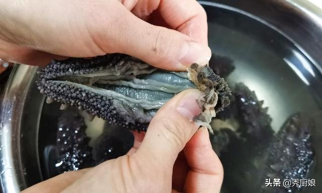 海参泡发方法最全面的图文教程，做法和要点详解，新手一次就成功