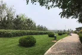 赶海更方便啦！崂山会场社区赶海园等区域将新增栈道、停车场图片