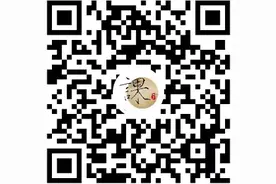 荐号 | 这5个视频号，你一定会喜欢图片