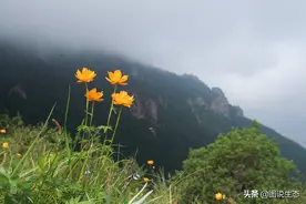 河北第一高山小五台山全身都是宝图片