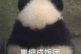 大块头意式猛男！斯威X7冠军版，空间尺寸秀到飞起图片