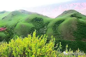 南山小东沟游记图片