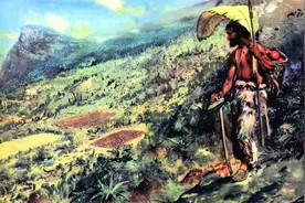 大航海的水手有多惨？怕船沉了，主动留在荒岛图片